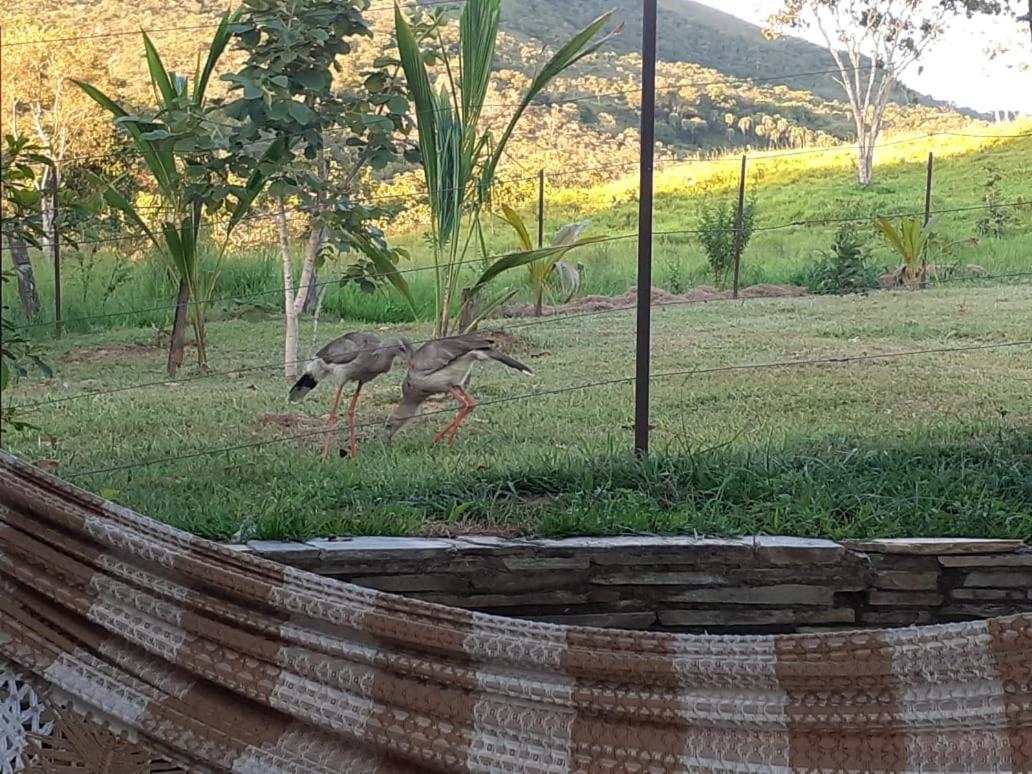 Fazenda Taruma Pirenopolis Ngoại thất bức ảnh